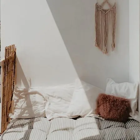 S T R E H E Z A تيرانا