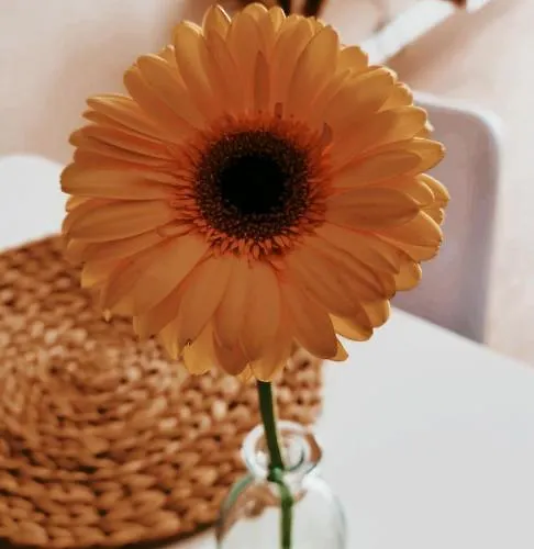 S T R E H E Z A Apartment