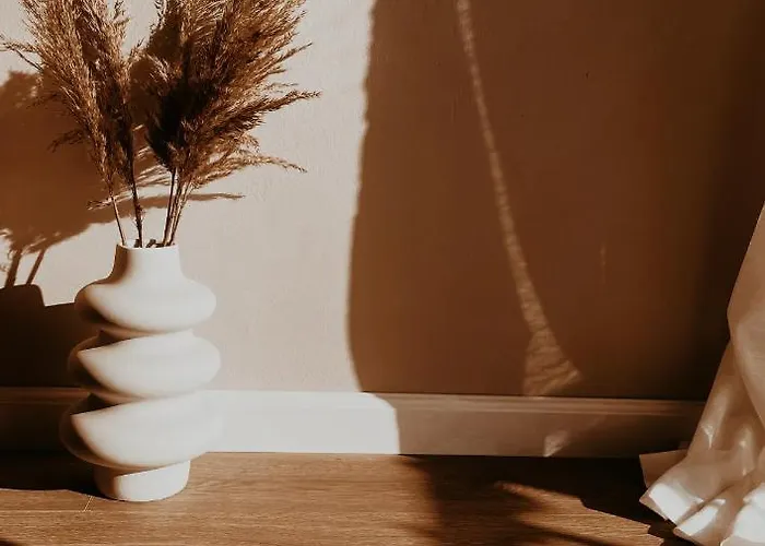 S T R E H E Z A Tiran