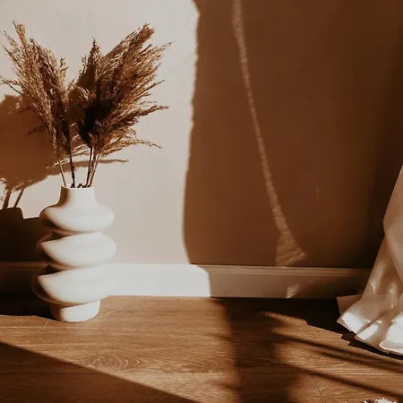 S T R E H E Z A Тирана