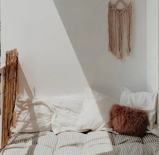 S T R E H E Z A Tirana